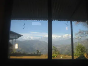 Hotel Red Rose - Image 4