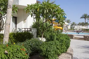 Sharm Plaza Hotel - Image 3