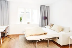 The Apartment - Image 3