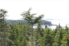 Weiss Lower Cottage - Three Bedroom Home - Image 3