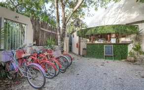 Harmony Glamping Tulum - Image 2