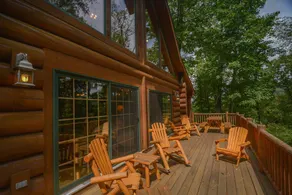 Bear Necessity Home - Image 4