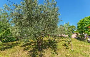 Amazing Home in Trbounje With Outdoor Swimming Pool, Wifi and 3 Bedrooms - Image 2