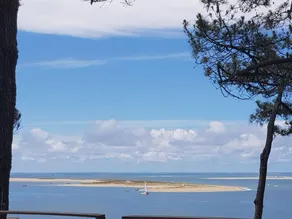 Cote Pinede - Image 4