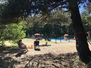 Le Grand Bois - Image 4