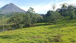 Arenal Bungalows - Image 5