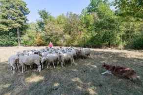 Chateau De Lacaze - Image 4