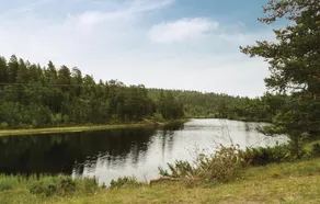 Savalen Hestesenter - Image 4
