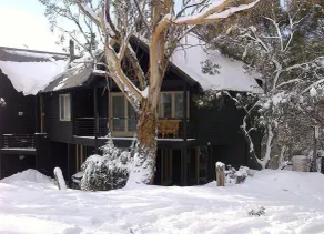 Milkwood - Image 4