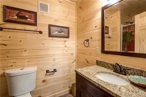 Woodland Escape, 3 Bedrooms, Hot Tub, Pool Access, WiFi, Sleeps 9 - Image 3