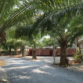 Sweet Dream Resort - Image 5
