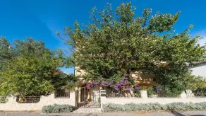 Villa Mallina - Villa with pool - Image 3