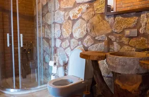 Charming Stone House With Private Pool and Nature View in Iznik Bursa - Image 3
