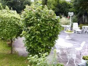 Parkhotel - Image 3