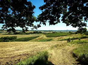 Fattoria Primavera - Image 3