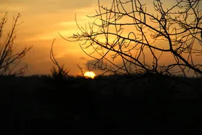 Monte da Moirana - Turismo Rural no Alentejo - Image 3