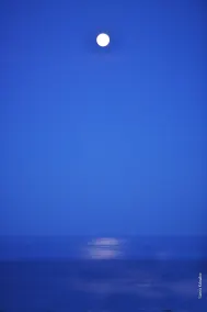 Aegean Pearl Villa - Image 2