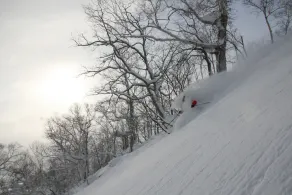 Kasara Niseko Village Townhouse - Image 4