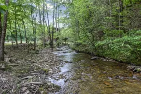 Whisper Creek - Image 4
