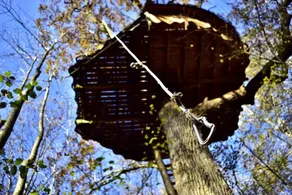 Le Domaine De Graville - Image 3
