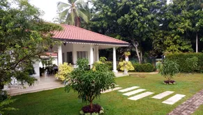 Green Grass Garden - Image 5