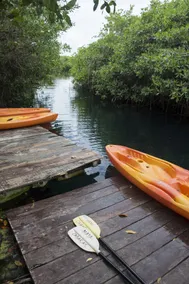 Maya Cabanas & Cenote Tulum - Image 5