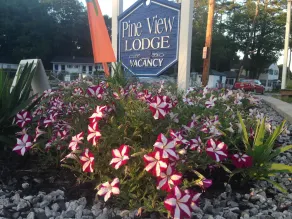 Pine View Lodge - Image 5