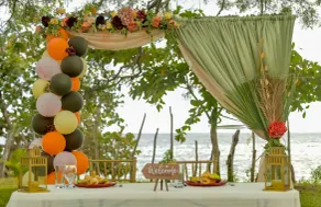 Champagne Villa - Image 3