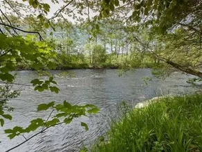 The Coach House - Image 5