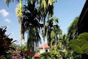 Patong Cottage - Image 4