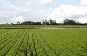 De Flevohoeve - Image 2