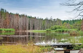 Beautiful Home in Lingarö With 1 Bedrooms, Sauna and Wifi - Image 4