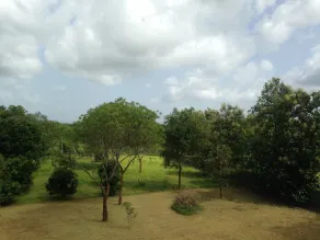 Red Elephant Safari Cottage - Image 3