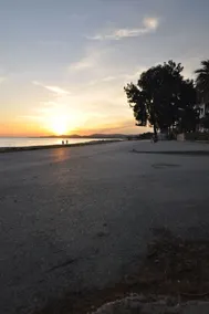 Zennova #23 Nikiti Family Green Nest - Image 4