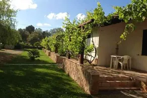 One bedroom appartement with furnished terrace and wifi at Sassari 9 km away from the beach - Image 5