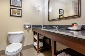 Comfort Suites Cincinnati Airport - Image 4