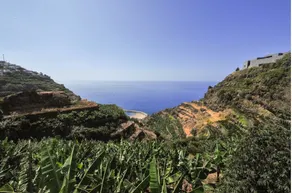 Villa Atlantic Sea View -  ETC Madeira - Image 3