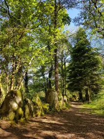 Le Sterou Parc Naturel - Image 5