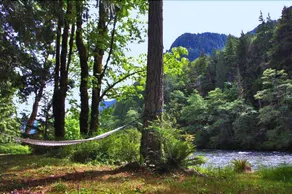 Rustic River Paradise Cabin - Image 4