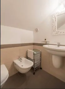 Conte Verde - Image 4