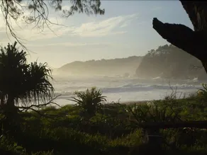 Korora Bay Beach House - Image 4