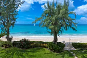 Old Trees 7 - Bella Vista by Blue Sky Luxury - Image 5
