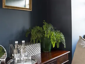 The Salutation - Image 1