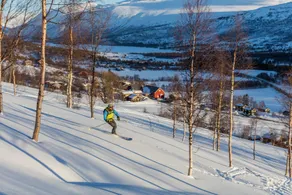 Bortistu Gjestegård - Image 2