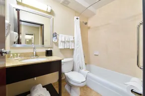 Holiday Inn Mount Prospect-Chicago - Image 2