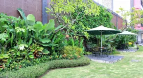 Budhi Hotel - Image 3