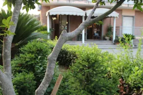 Hotel Diana - Image 2