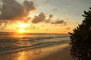 Equator Homestay - Image 3