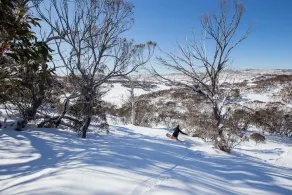 The Elements East - Jindabyne - Image 5