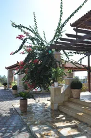Angelos Kandia Apartments - Image 3